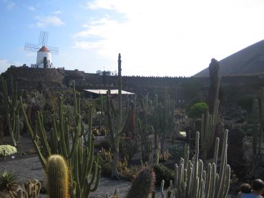 Jardín de Cactus